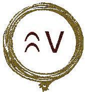 Bucking V Outfit LLC