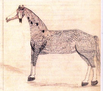 click here for life size copy of whole plate